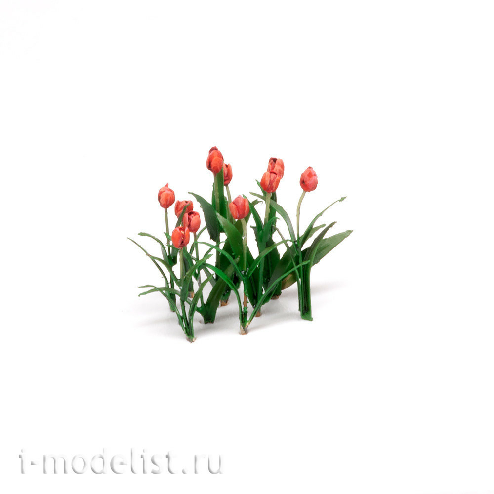 S-164 MiniWarPaint Tulip, size M