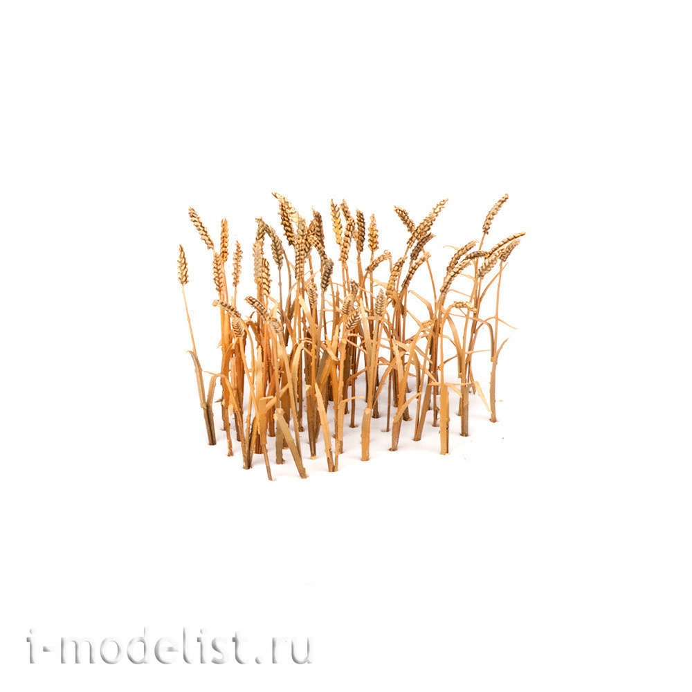 S-166 MiniWarPaint Wheat, size M