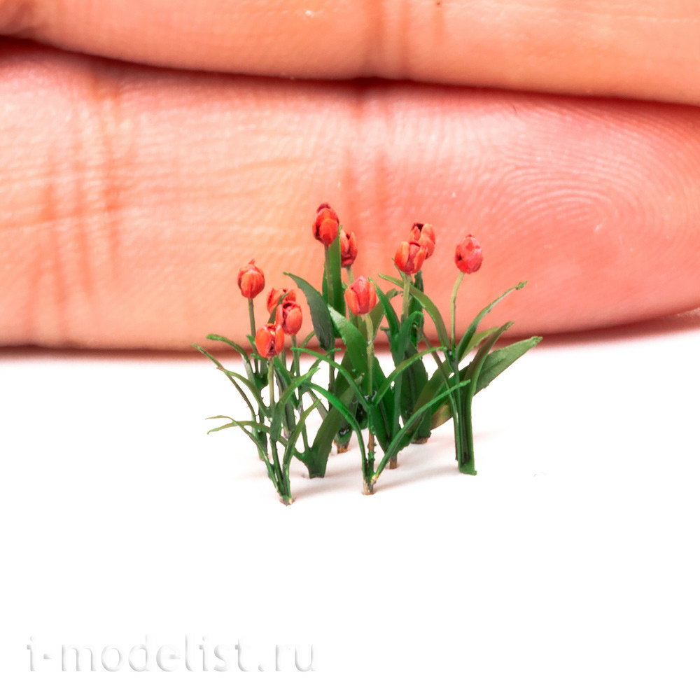 S-164 MiniWarPaint Tulip, size M