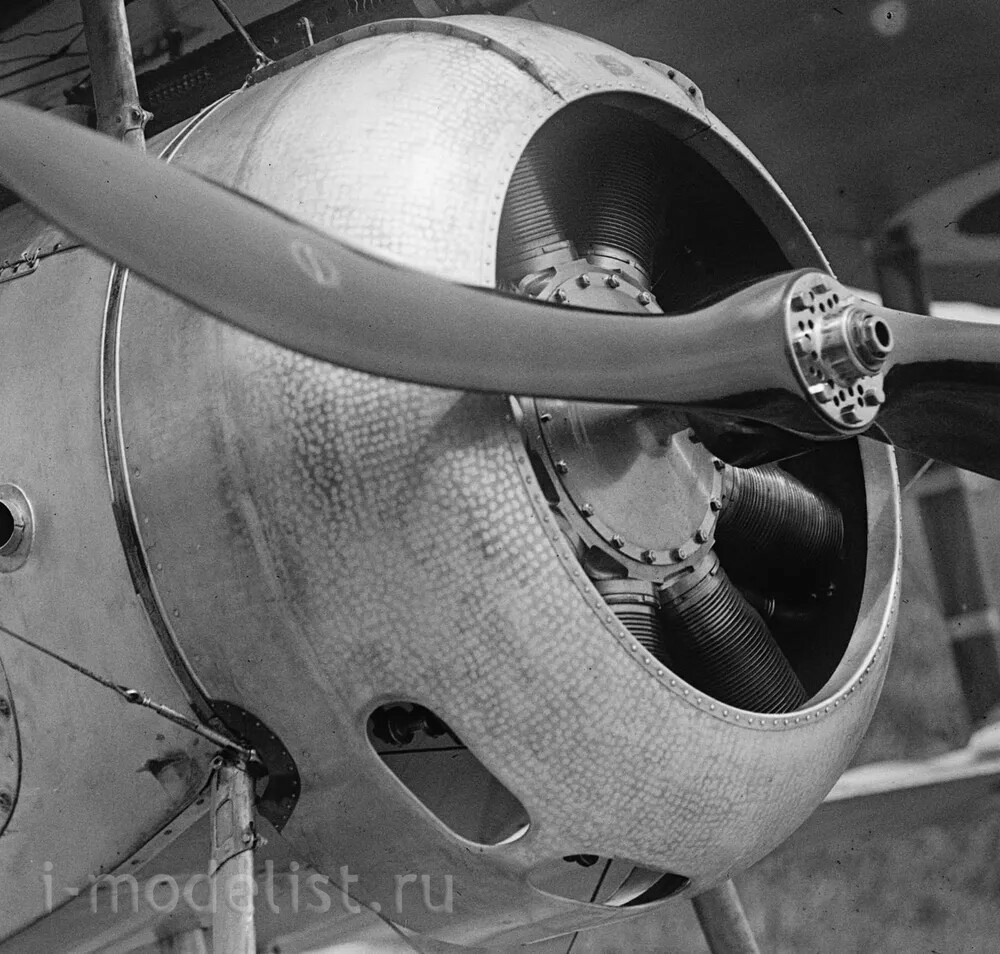 72091 Begemot 1/72 Имитация полировки рыбья чешуя