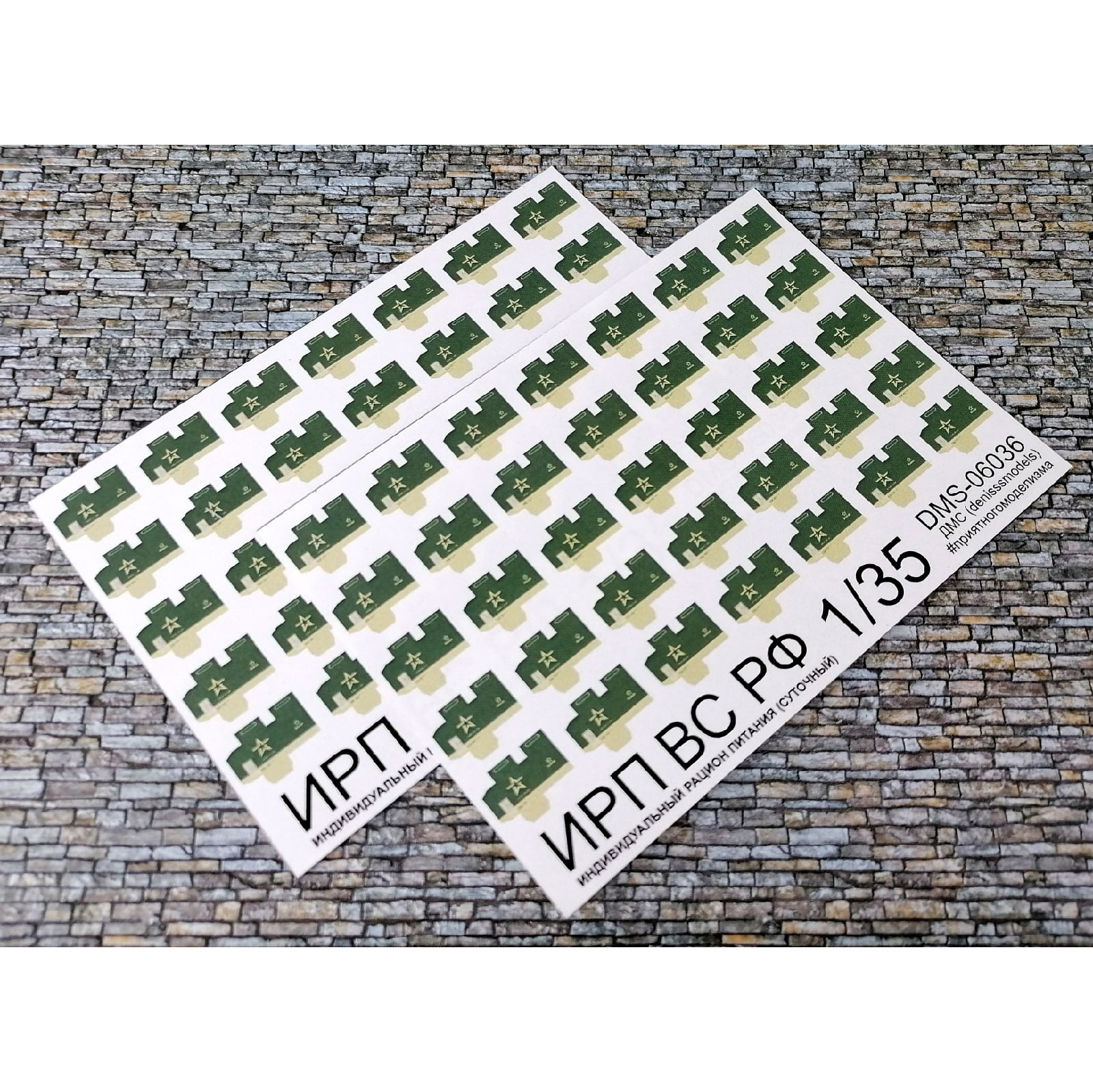 DMS-06036 ДМС 1/35 ИРП ВС РФ (суточный)