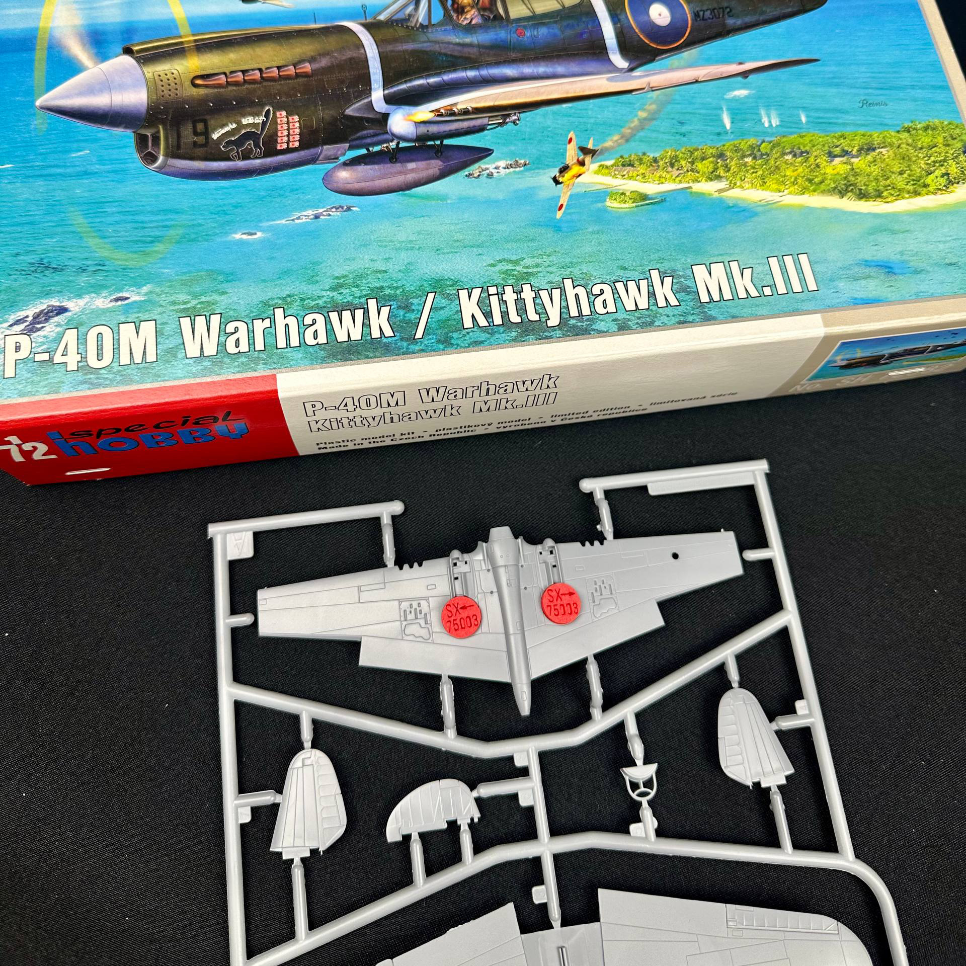 75003 SX-Art 1/72 Заглушки ниш для P-40 Warhawk (Special Hobby)