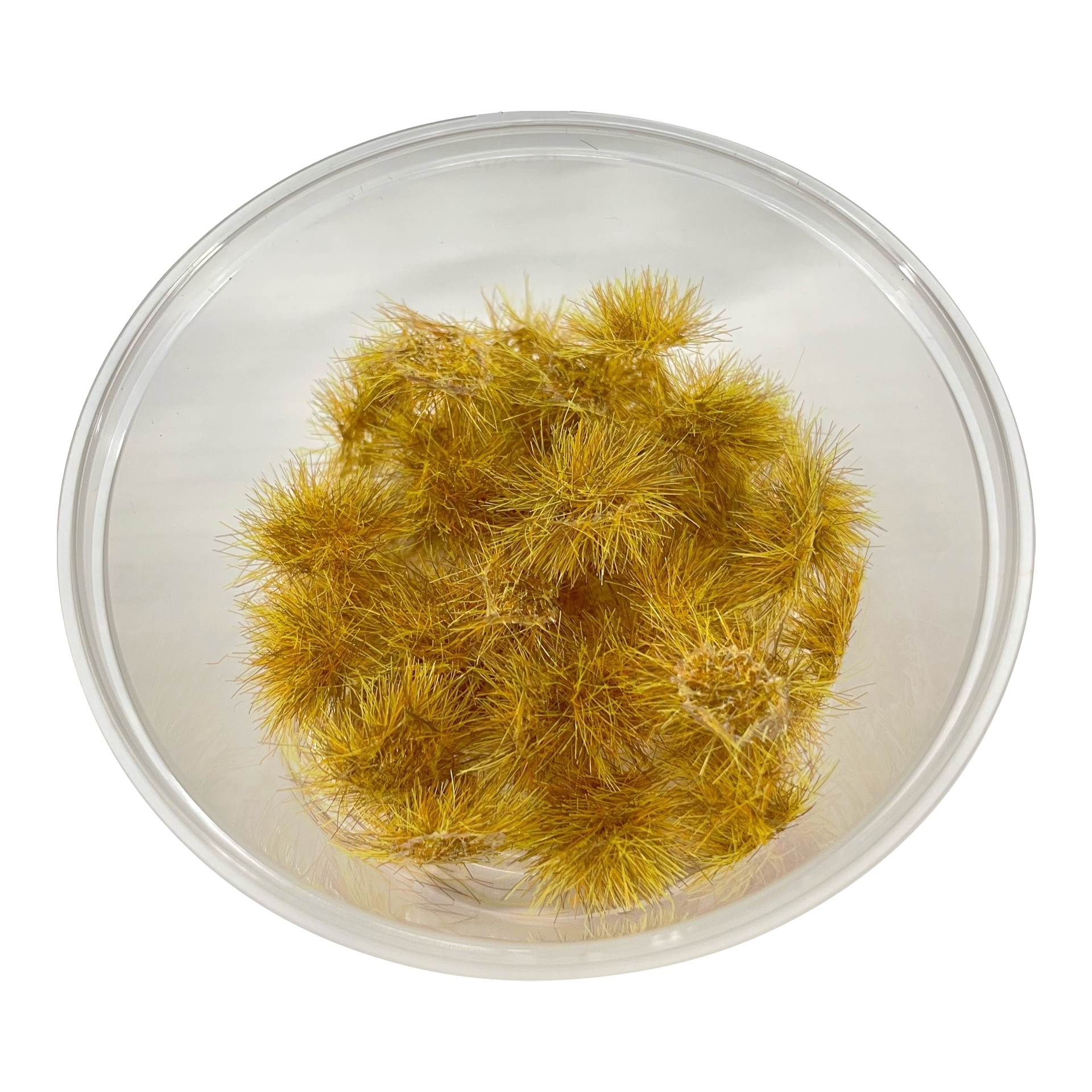 30138 DasModel 1/35 Кочки травы золfromая осень, 50 шт. / 5 мм