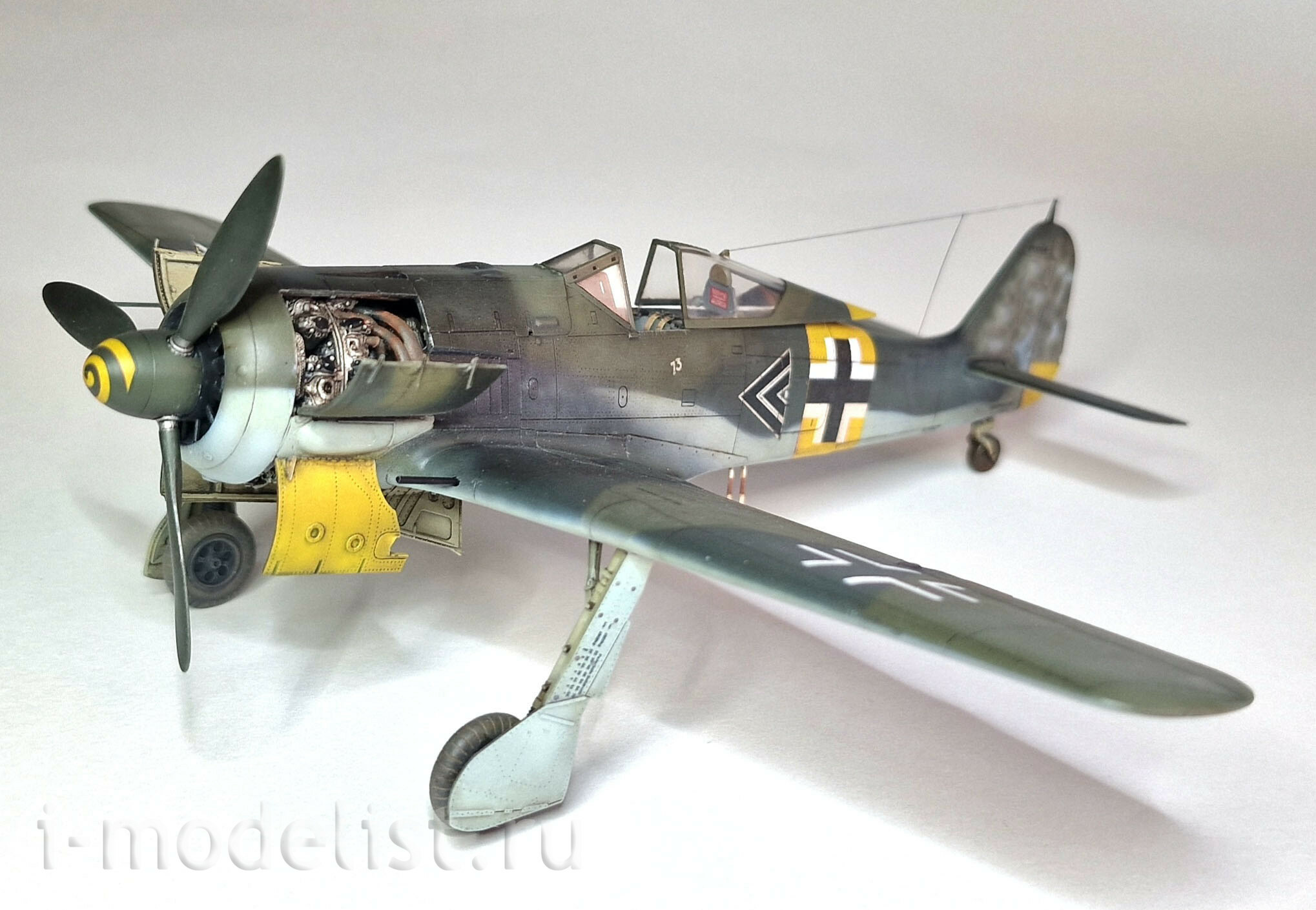 84118 Eduard 1/48 Notмецкий лёгкий истребитель Fw 190A-5 (Weekend)