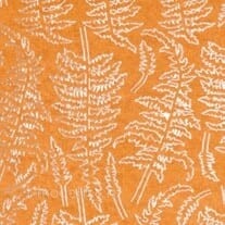 AK8135 AK Interactive Dry Fern