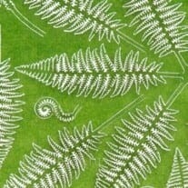 AK8134 AK Interactive Fern