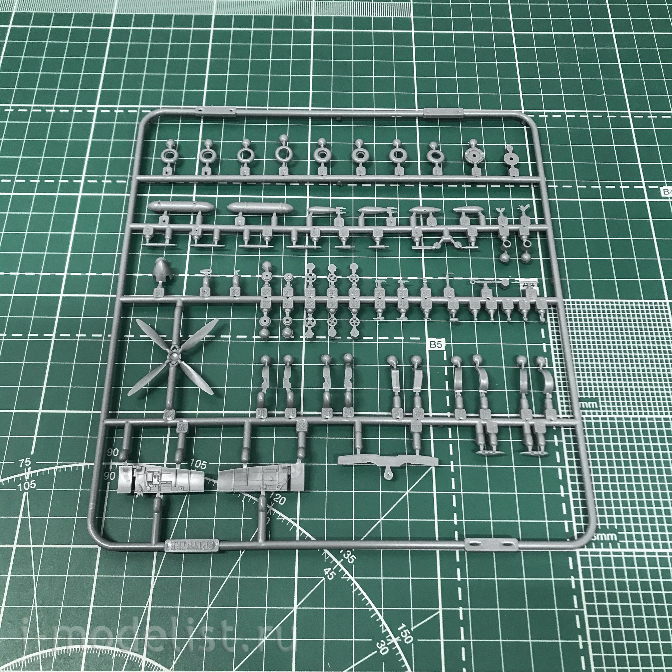 2119 Edward 1/72 Aussie Eight DUAL COMBO