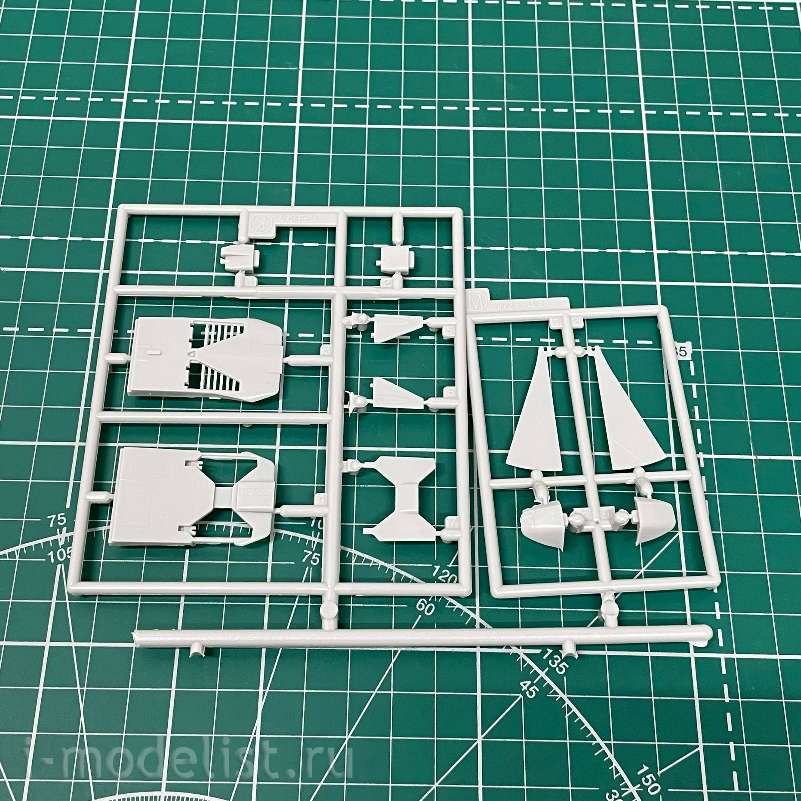 02242 Hasegawa 1/72 F-14A Iranian armed forces