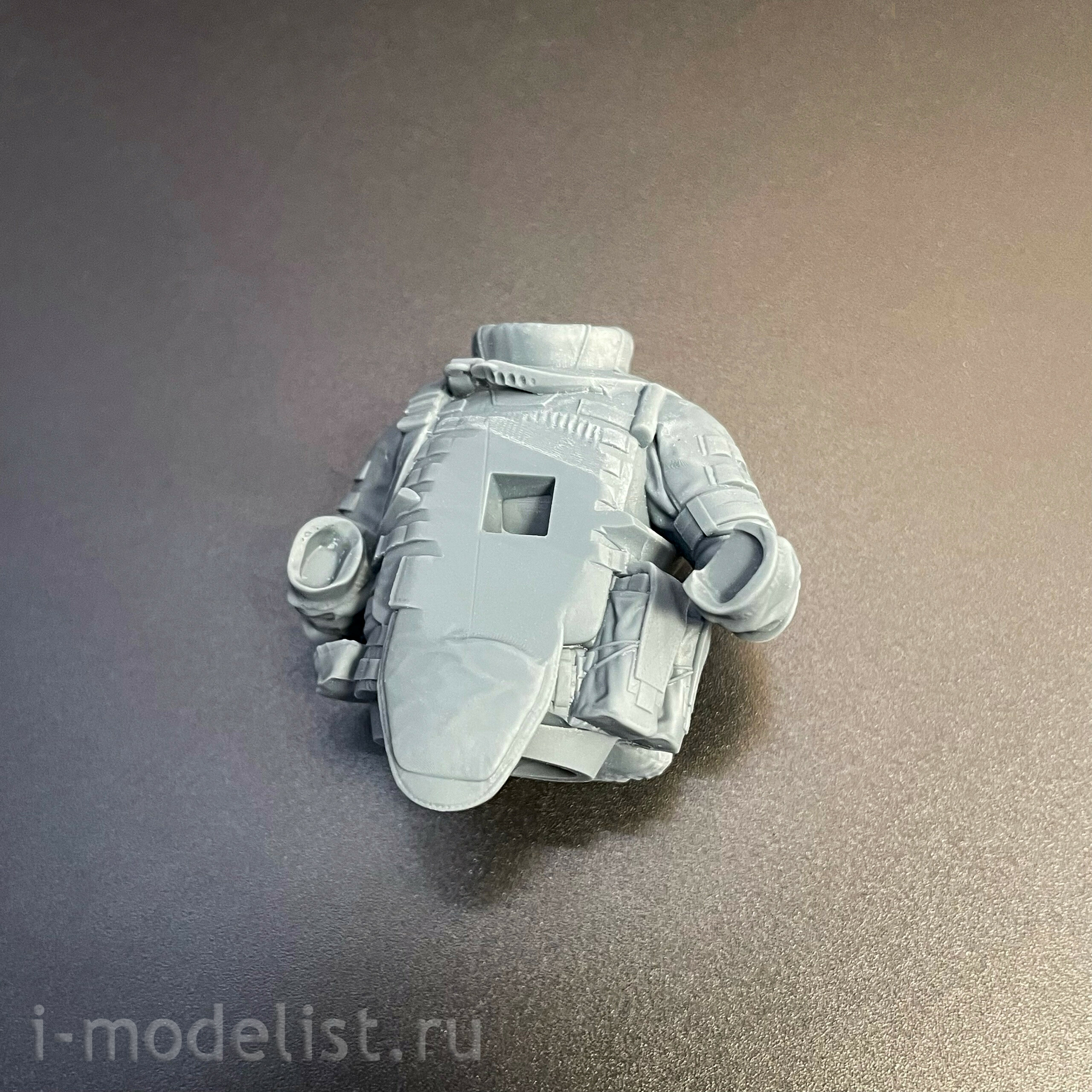 6031 SVmodel 1/16 Фигурка 