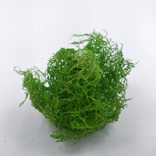 3015 DasModel 1/35 Bushes light green