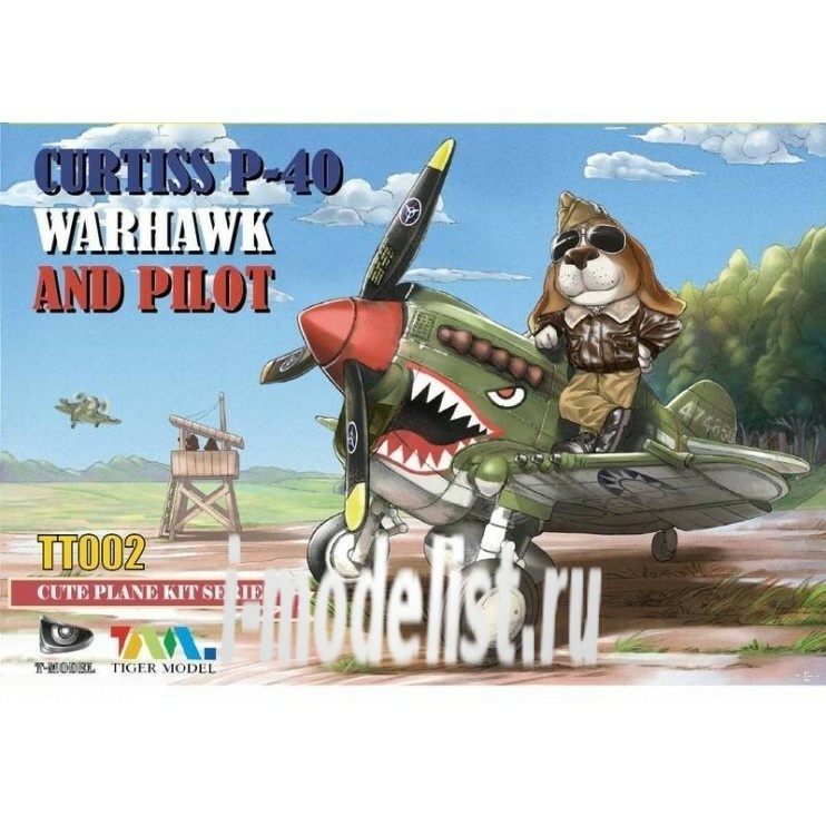 002 Tiger Models Curtiss P-40 Warhawk And Pilot