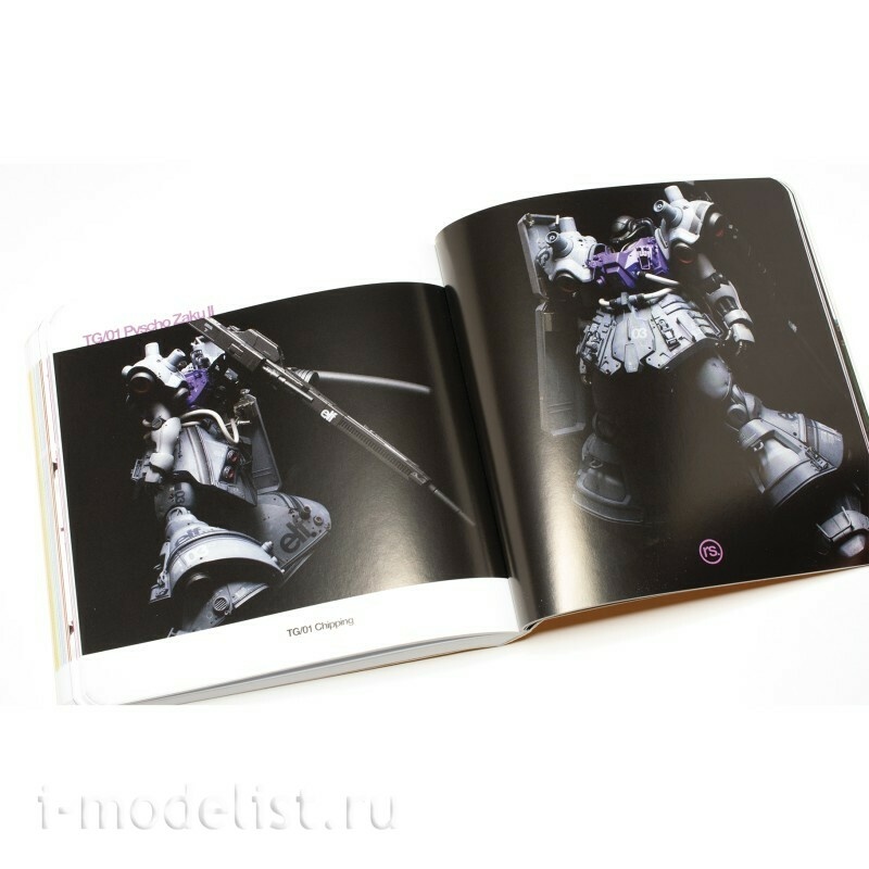 RINALDI-TG.01 Ammo Mig Книга TG (Руководство по технике) - чиппинг / TG Series (Technique Guide) - Chipping (Английский язык)