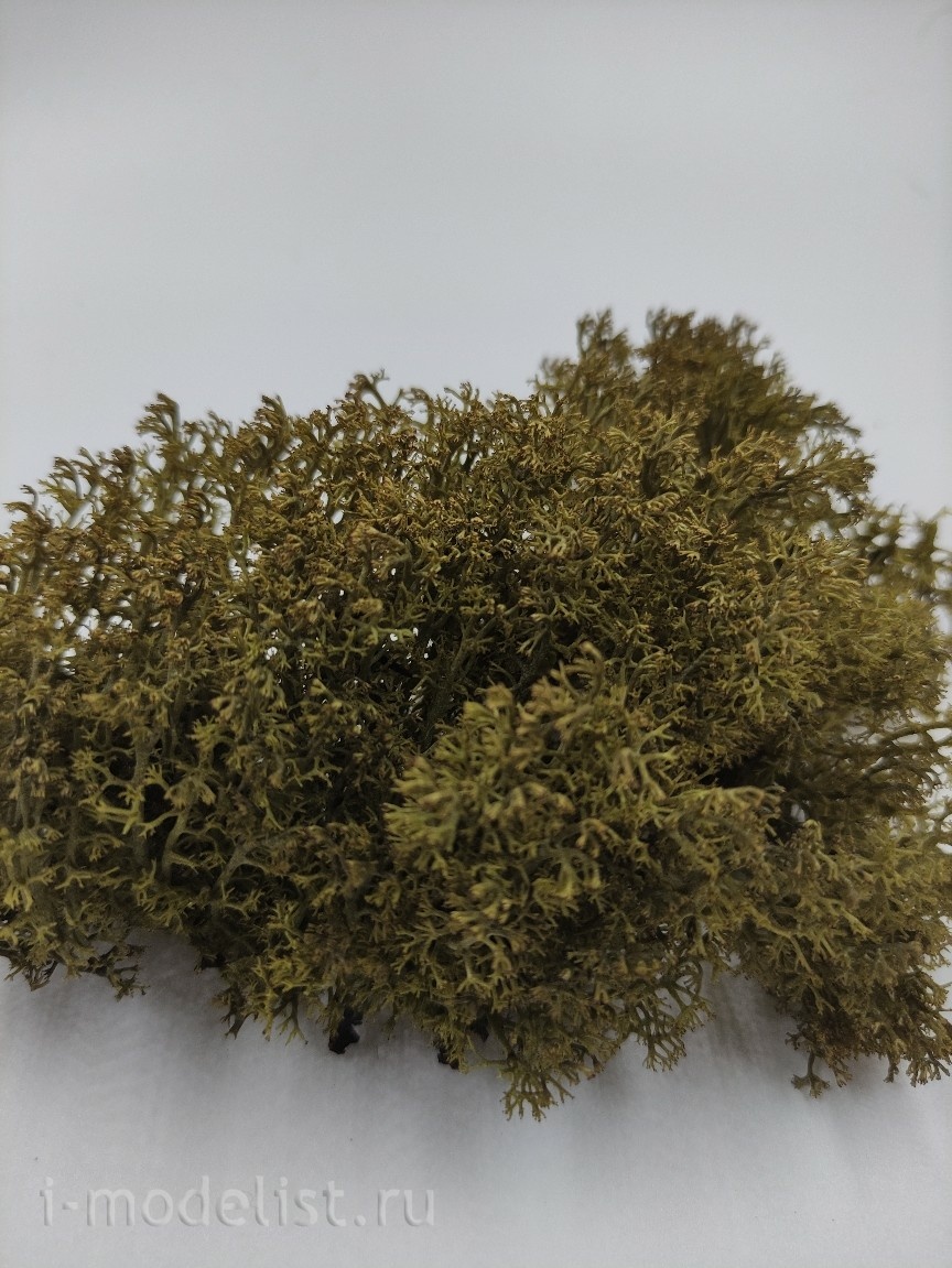 3095 DasModel Moss stabilized, green