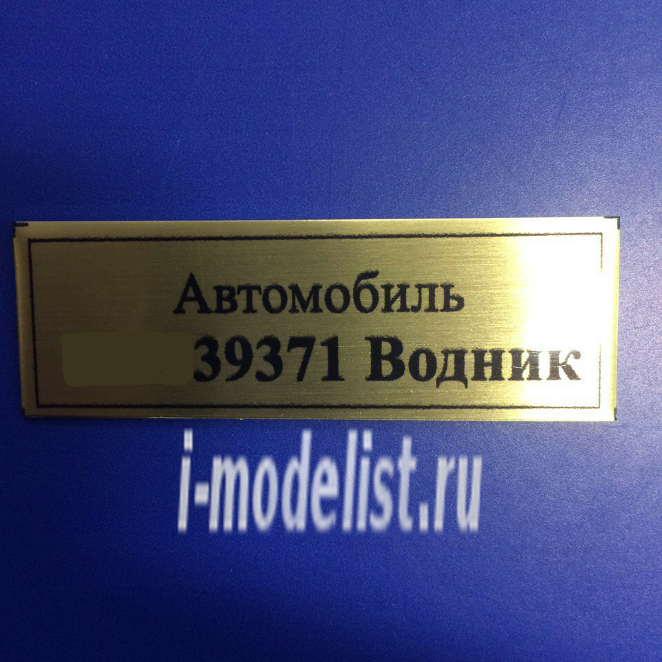 T102 Plate plate Plate for Car 39371 60x20 mm Waterman, color gold