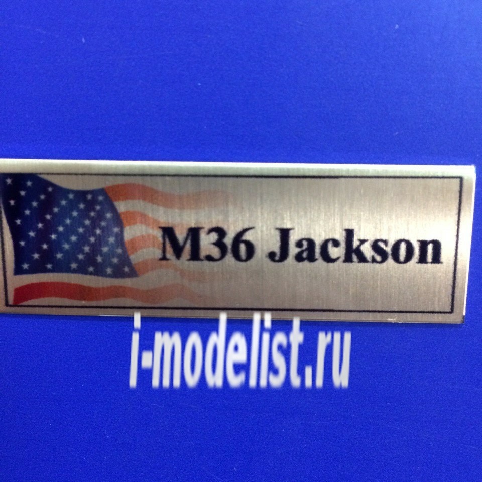 Т174 Plate Plate M36 Jackson 60h20 mm, color gold
