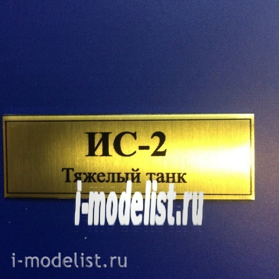 Т09 Plate Plate for is-2 60h20 mm, color gold
