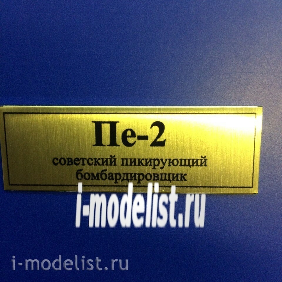 T79 Plate Nameplate for PE-2 60x20 mm, color gold